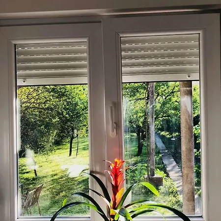 Apartment Lejla
